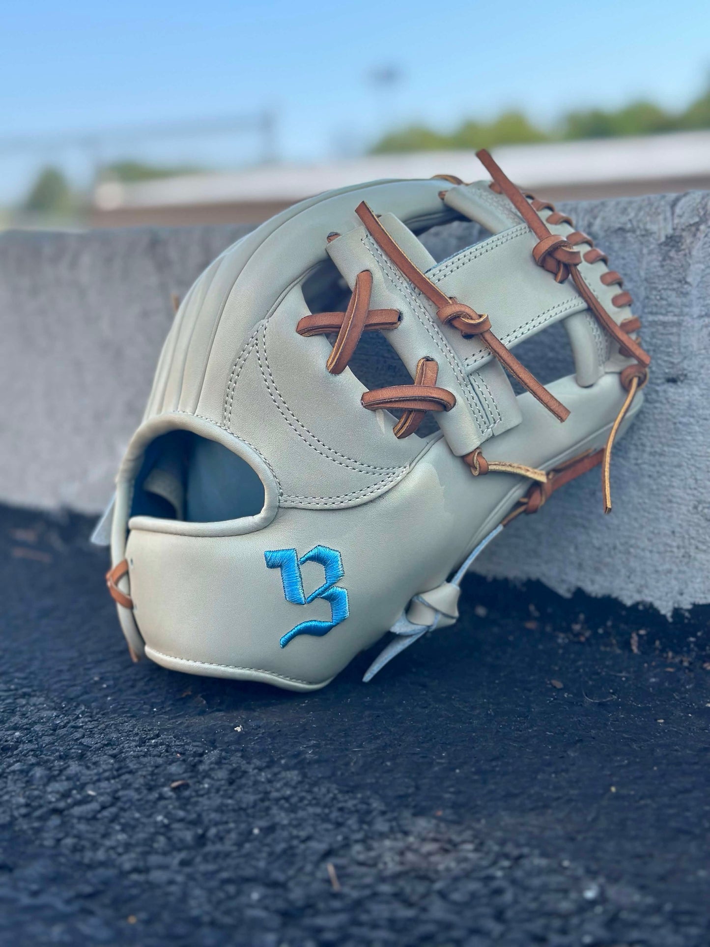 Infield Glove