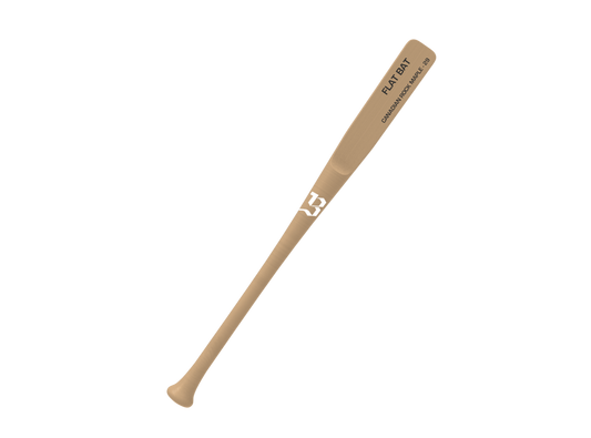 Backyard Flat Bat Trainer