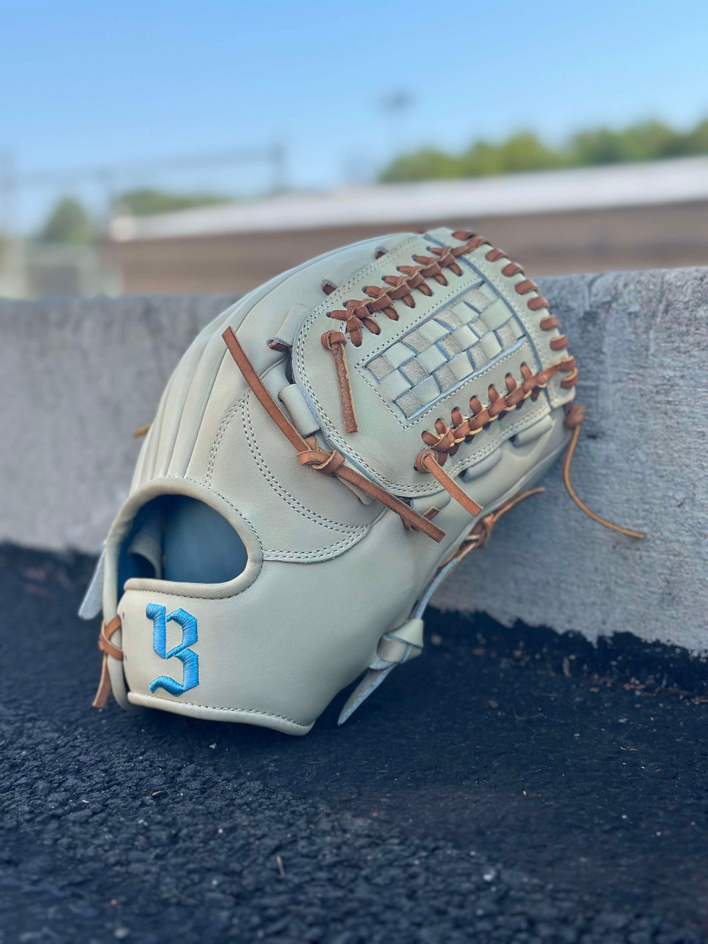 Pitcher Glove